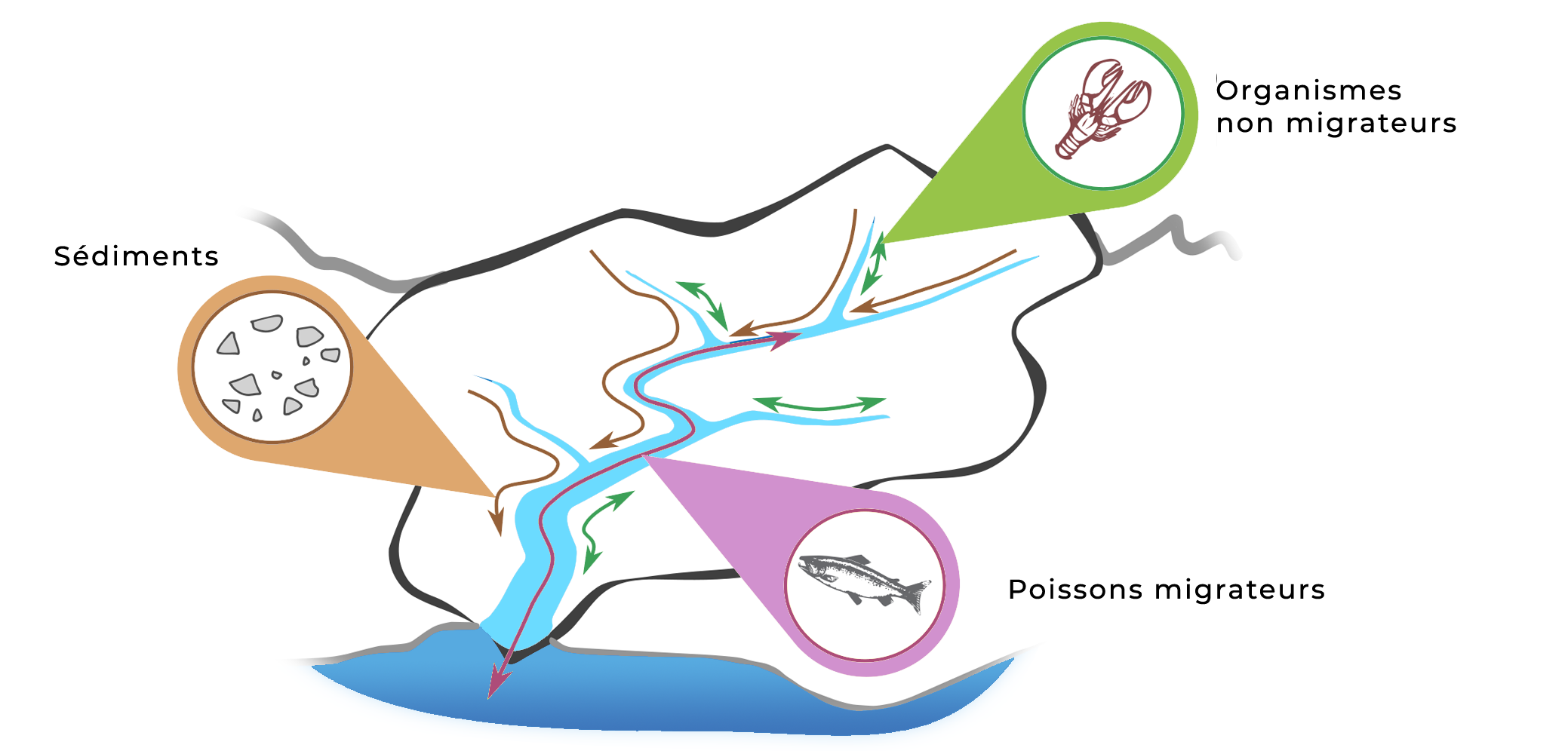 continuite ecologique