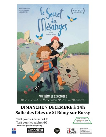 Cinéma à Saint Rémy sur Bussy