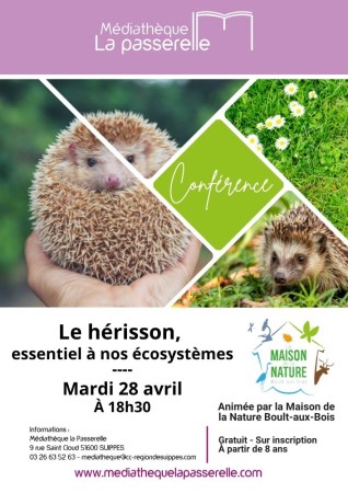 Conférence : LE HÉRISSON - Maison de la Nature de Boult-aux-Bois